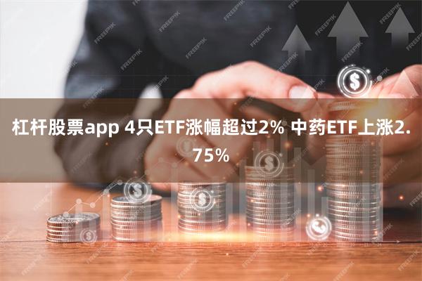 杠杆股票app 4只ETF涨幅超过2% 中药ETF上涨2.75%