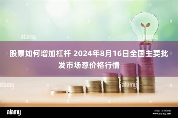 股票如何增加杠杆 2024年8月16日全国主要批发市场葱价格行情