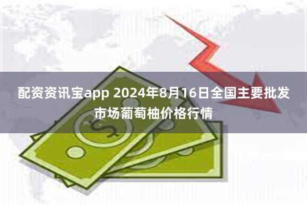 配资资讯宝app 2024年8月16日全国主要批发市场葡萄柚价格行情