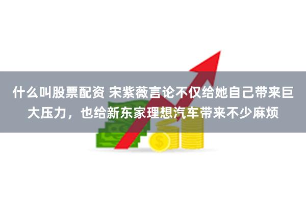 什么叫股票配资 宋紫薇言论不仅给她自己带来巨大压力，也给新东家理想汽车带来不少麻烦