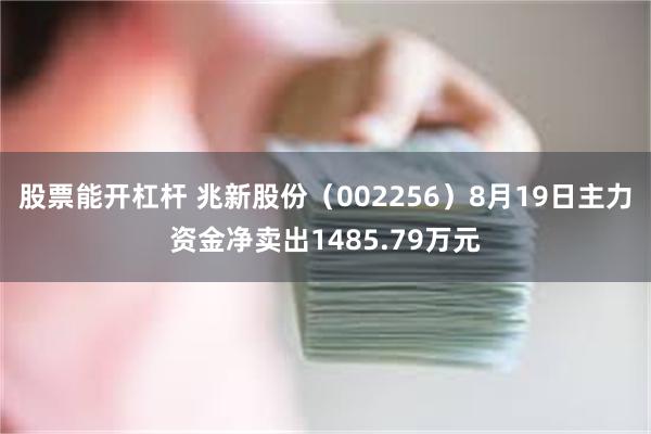 股票能开杠杆 兆新股份（002256）8月19日主力资金净卖出1485.79万元