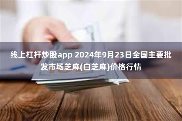 线上杠杆炒股app 2024年9月23日全国主要批发市场芝麻(白芝麻)价格行情