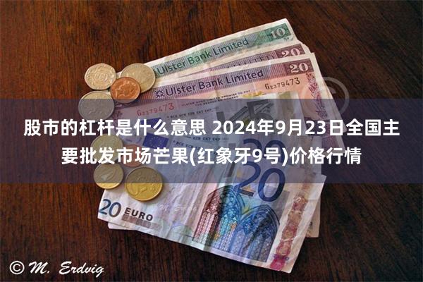 股市的杠杆是什么意思 2024年9月23日全国主要批发市场芒果(红象牙9号)价格行情