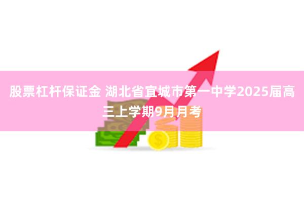 股票杠杆保证金 湖北省宜城市第一中学2025届高三上学期9月月考