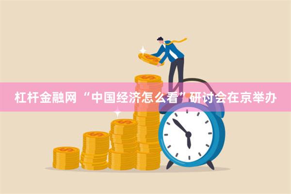 杠杆金融网 “中国经济怎么看”研讨会在京举办