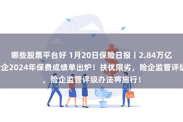 哪些股票平台好 1月20日保险日报丨2.84万亿，五大上市险企2024年保费成绩单出炉！扶优限劣，险企监管评级办法将施行！